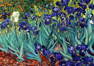 Irises Vincent van Gogh